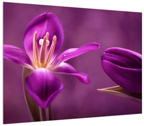 Lila virág képe (70x50 cm)
