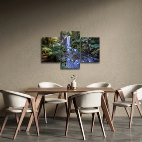 Ausztrál esőerdő képe (90x60 cm)
