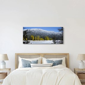 Kép - havas hegyek télen (120x50 cm)