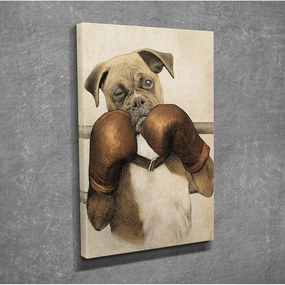 Boxer vászon fali kép, 30 x 40 cm