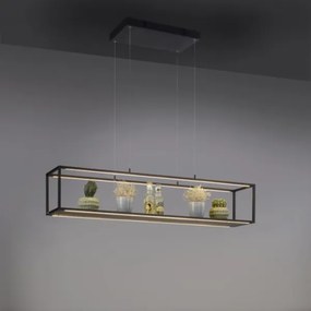 Paul Neuhaus 2441-18 - LED Dimmelhető csillár zsinóron CONTURA 4xLED/8W/230V