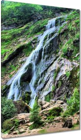 Vászonkép 80x120 Powerscourt vízesés
