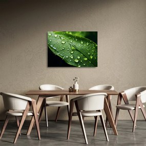 Üveg kép - Levél eső után (70x50 cm)