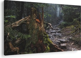 Kép - Az erdőben (90x60 cm)