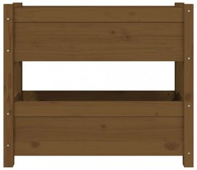 mézbarna tömör fenyőfa növénytartó 77x25x66 cm