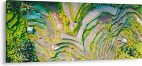 A rizsföldek képe madártávlatból (120x50 cm)