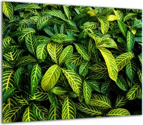 7in1 Üveg Tűzhelyvédő Főzőlap 60x52 Zöld