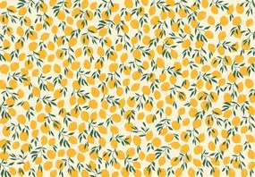 Fotótapéta – Lédús citromok (147x102 cm)
