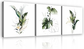 Kép Hálószoba Nappali Monster Levelek Fehér Modern 3 Kép Vászon