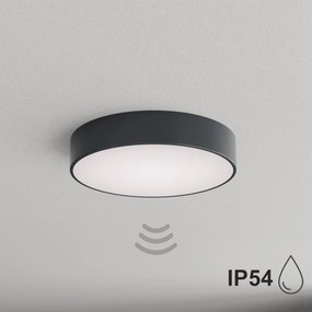 BRILAGI - Fürdőszobai mennyezeti lámpa érzékelővel CLARE 3xE27/24W/230V átm. 40 cm antracit IP54