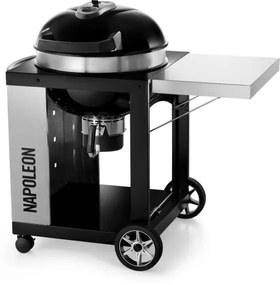 Napoleon Rodeo Pro Faszenes grillsütő