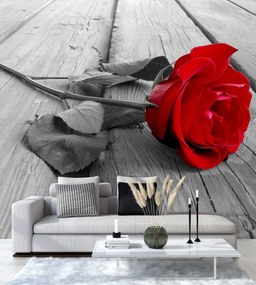 Gario Fotótapéta Vörös rózsa régi deszkákon Anyag: Vlies, Méret: 100 x 100 cm