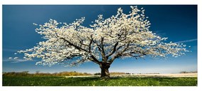 Fali dekoráció vászonkép 451ern1232 outlet