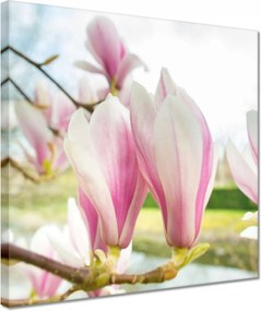 Vászonkép 30x30 Virágok