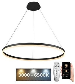 NEDES LED dimmelhető csillár zsinóron LED/55W/230V 3000-6500K + távirányítás ND3439