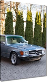 Vászonkép 80x120 Mercedes 450 Slc Klasszikus