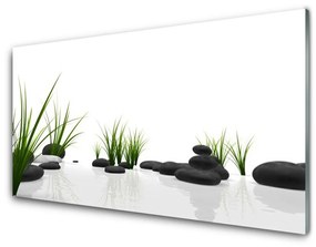 Fali üvegkép Stones Grass Art 100x50 cm 4 fogas