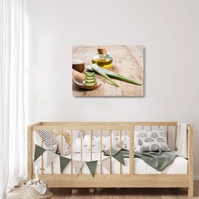 Üveg kép - Aloe vera (70x50 cm)