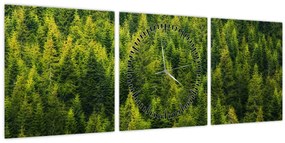 Kép - sűrű erdő (órával) (90x30 cm)