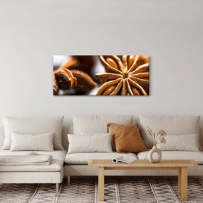 Kép - Anise (120x50 cm)