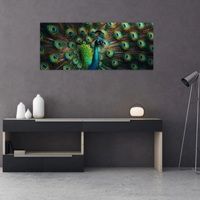 Kép – Pávatoll (120x50 cm)