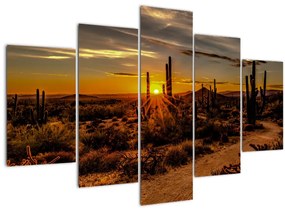 Kép - A nap vége az arizonai sivatagban (150x105 cm)