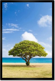 Poszterek keretben 40x60 Tájkép fával