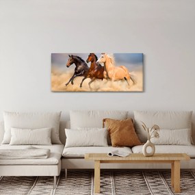 Kép - Vad lovak (120x50 cm)