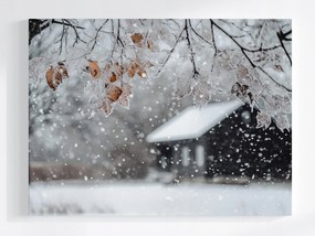 Poszter Tájkép Ház Fa Tél Hó Dér Jég Fagy 80x60
