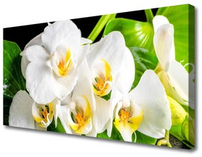 Canvas kép Orchidea virágok Természet 125x50 cm