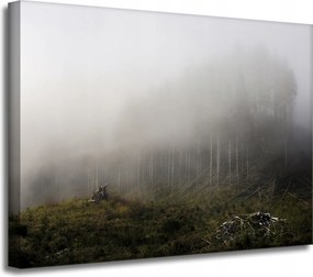 Vászonkép Természet Köd Megsemmisült erdő 40x30