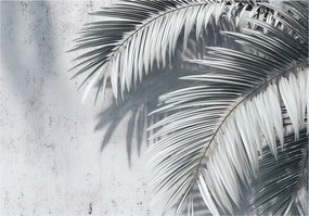 Fotótapéta Pálma Levelek Beton Hálószoba Nappali Tapéta Vlies 200x140