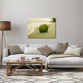 Kép egy levél a homokban (70x50 cm)