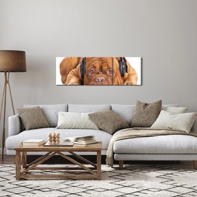 Kép egy kutya fejhallgatóval (órával) (90x30 cm)