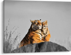 Kép - Tigris és a kölyke, fekete-fehér változat (70x50 cm)