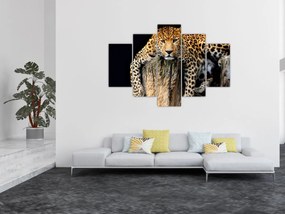 Kép - Gepárd (150x105 cm)