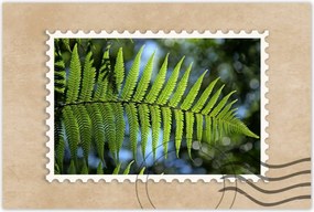 Poszterek 90x60 Páfrány páfránylevél