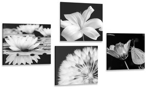 Képszett virágok pillangóval fekete-fehérben