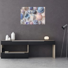 Üveg kép - Kagylógyűjtemény (70x50 cm)