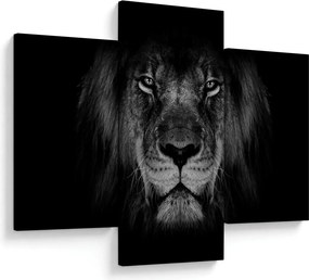Kép - Az oroszlán és felsége (90x60 cm)