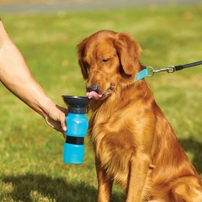 Hordozható kutya itató, kulacs - Bárhol, bármikor megitathatod kedvencedet!