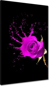Vászonkép 80x120 Lila rózsa hatású
