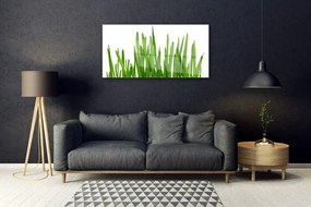 Akrilkép Grass A Wall 120x60 cm