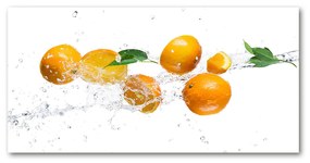 Akril üveg kép Narancs és víz oah-63072139