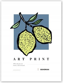 Boho növények gyümölcsök Poszter 30x40cm art #T12