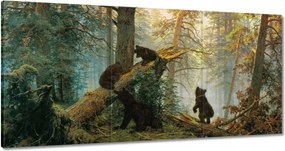 Vászonkép 60x30 Reggel a fenyőerdőben