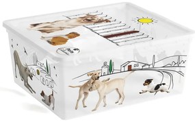 Fehér fedeles műanyag tárolódoboz 40x34x17 cm C Box Style – KIS