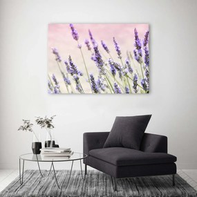 Gario Vászonkép Levendula virágok Méret: 60 x 40 cm
