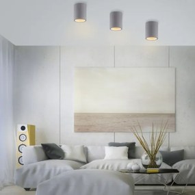 Paul Neuhaus 6160-22 - Spotlámpa ETON 1xGU10/10W/230V