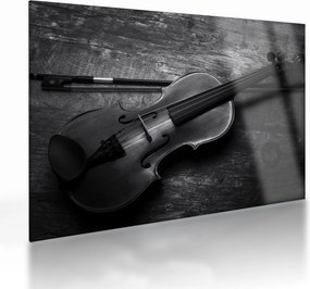 Kép - Viola (üvegen) (70x50 cm)